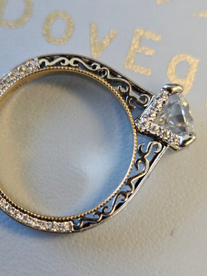 Custom payment link for Chris and Lupe