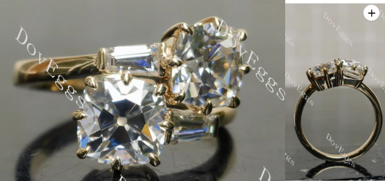 Customization of XR2239