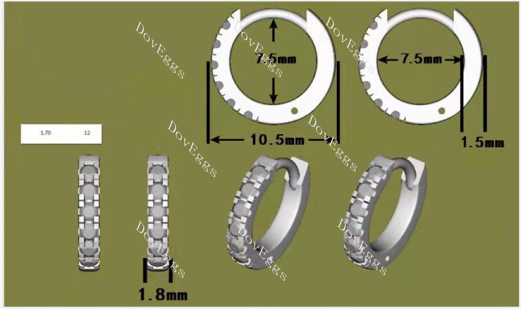 Doveggs round moissanite hoop earrings for women