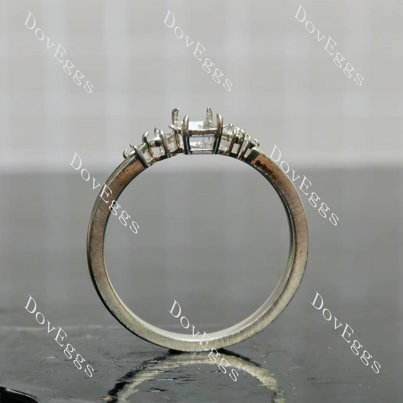 Doveggs side stones eternity engagement ring semi-mount only(Exclusively to DovEggs Stones)