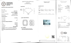 "IGI certificate for 1.02ct cushion cut E color VS1 lab diamond"
