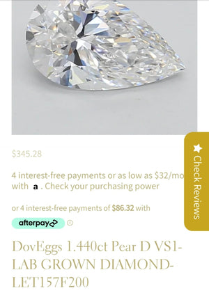 Payment link for Susan( FS discount Applied)