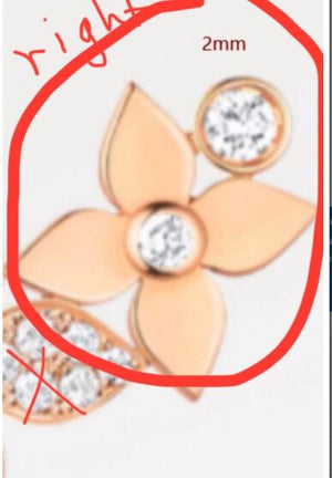 Customization of earrings