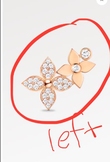 Customization of earrings
