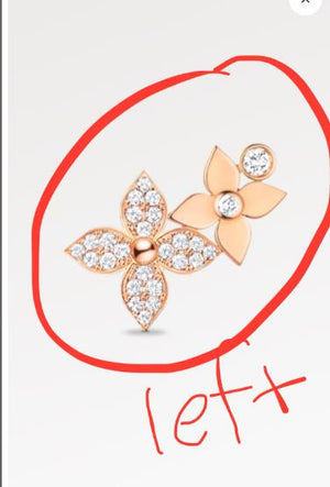 Customization of earrings