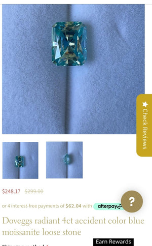 Custom payment link for Sarah