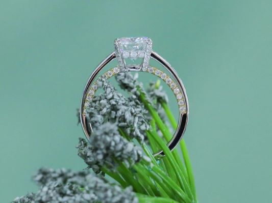 Lab Diamond Ring with Pave Accents (Moissanite/LGD) in 10K/14K Gold or Platinum | DovEggs