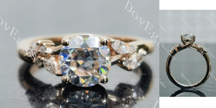 Round side stones moissanite engagement ring main view| Doveggs