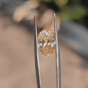 Sunlight video showing 3.02ct oval yellow diamond's bow-tie effect