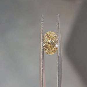2.27ct oval cut vivid yellow diamond video showing brilliant sparkle outdoors