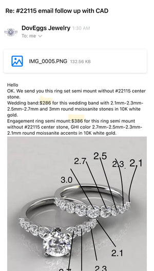 Custom Payment link for Amy Size 5.25