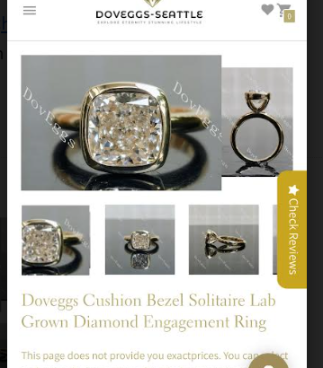 Price difference of 25456 replacement ring