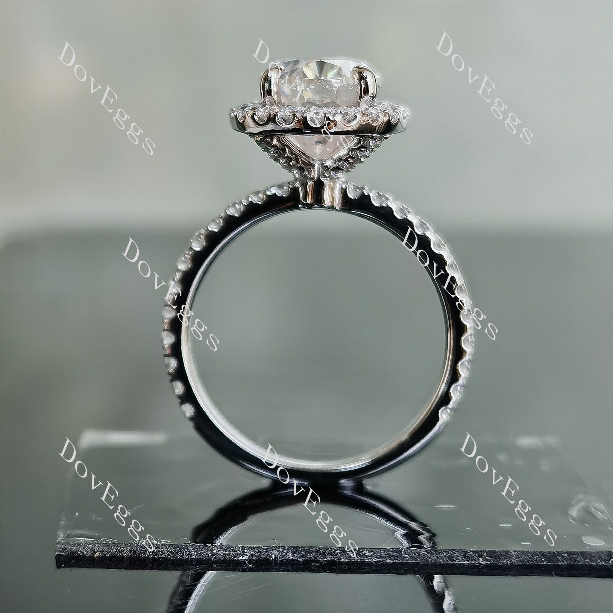Doveggs oval halo pave moissanite engagement ring