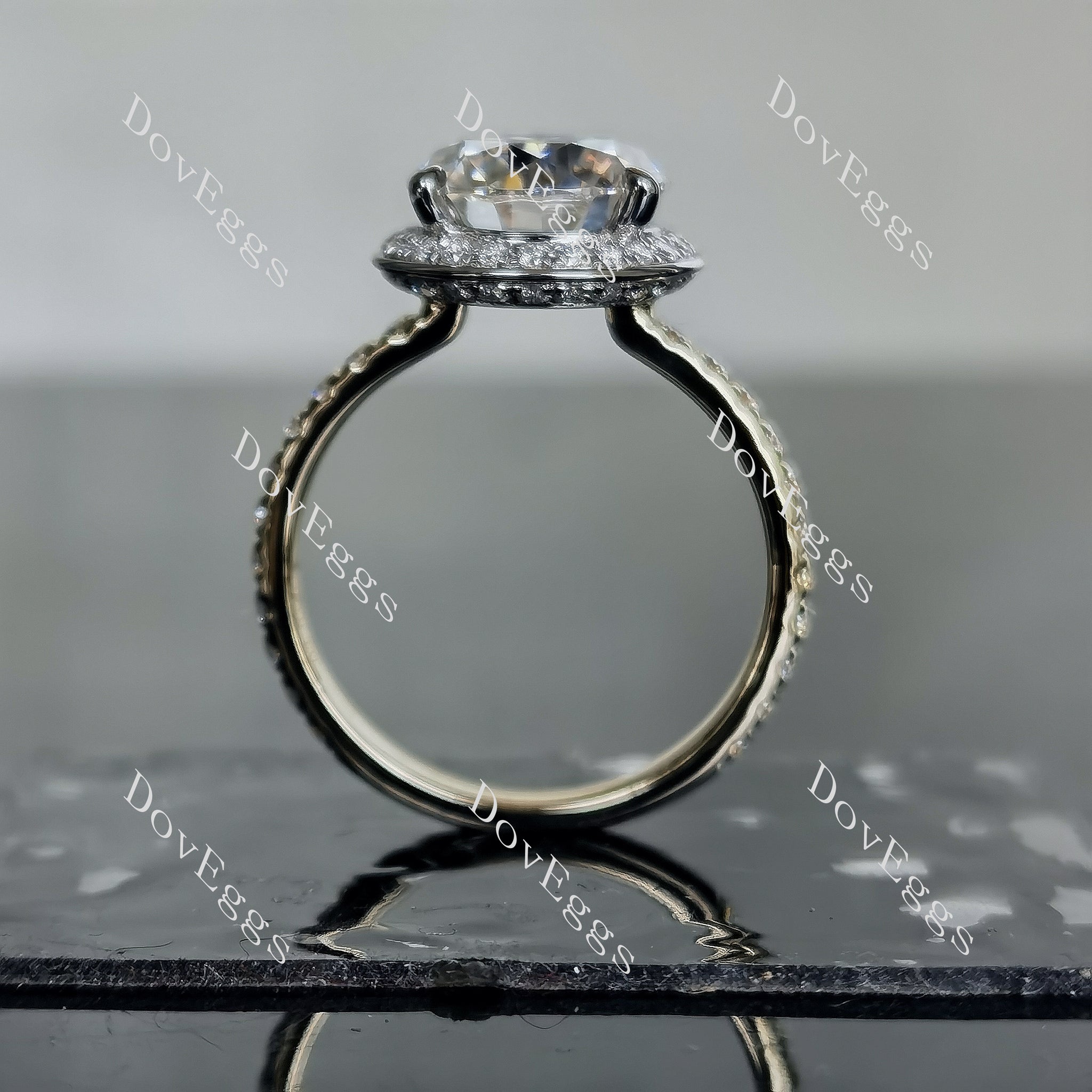 Doveggs round pave moissanite engagement ring