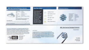 certificate from North American Gemological Lab - DovEggs-Seattle