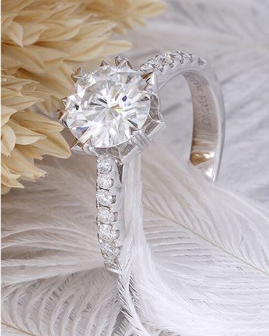 doveggs round moissanite ring engagement ring in white gold DovEggs-Seattle 